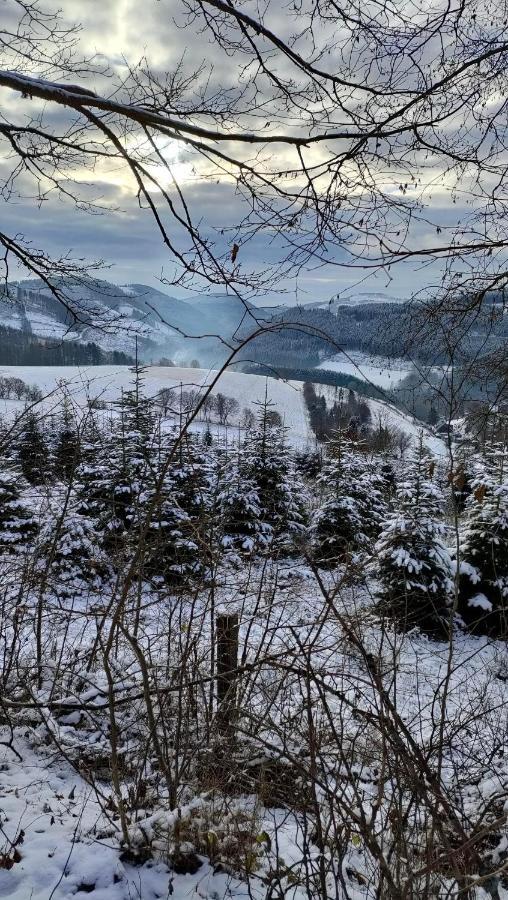 Pension Sauerland Winterberg Kültér fotó