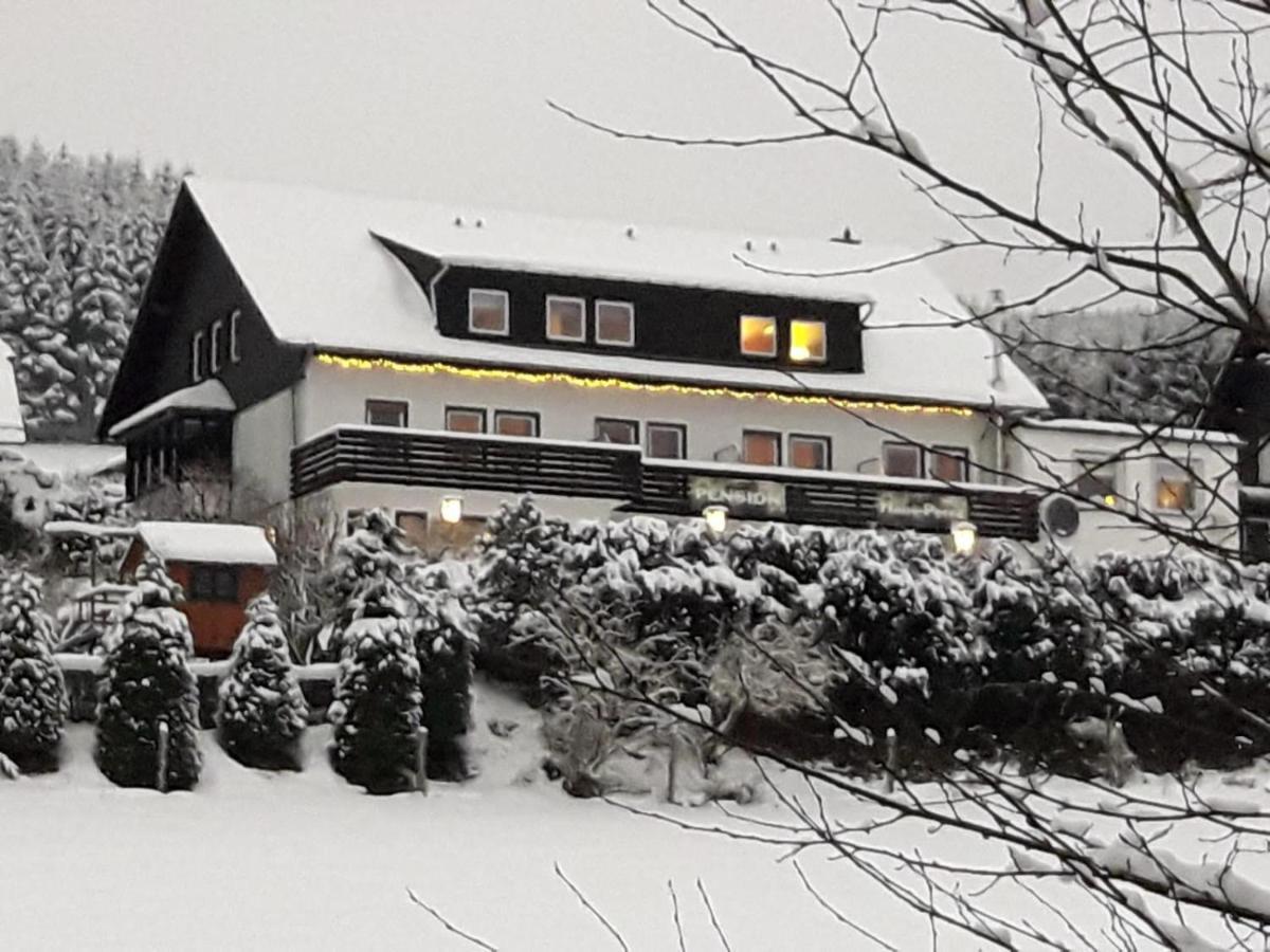 Pension Sauerland Winterberg Kültér fotó