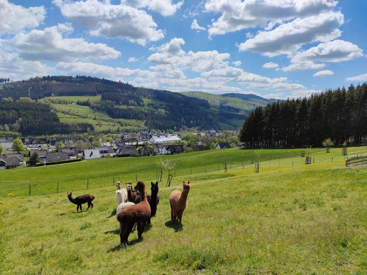 Pension Sauerland Winterberg Kültér fotó